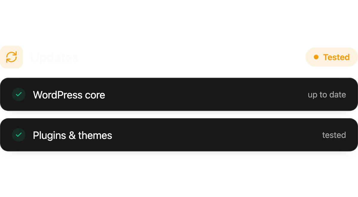 Automated plugin & theme updates.