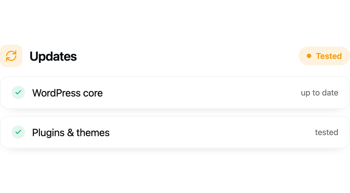 Automated plugin & theme updates.